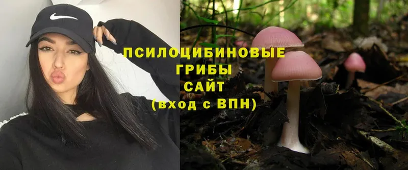 Псилоцибиновые грибы Magic Shrooms Агидель